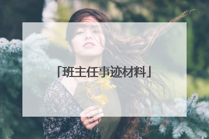 班主任事迹材料