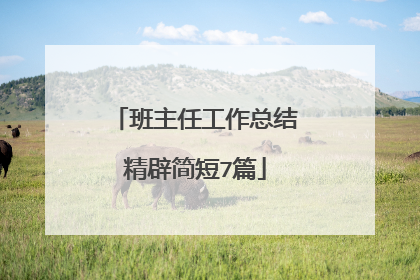 班主任工作总结精辟简短7篇