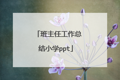 班主任工作总结小学ppt