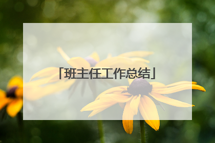 班主任工作总结