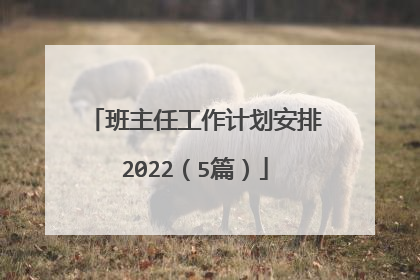 班主任工作计划安排2022（5篇）