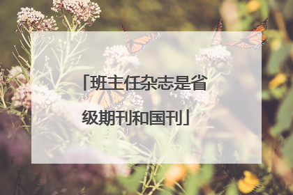 班主任杂志是省级期刊和国刊