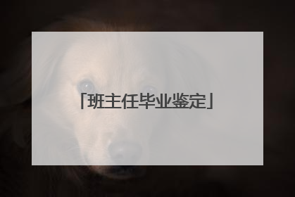 班主任毕业鉴定