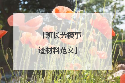 班长劳模事迹材料范文