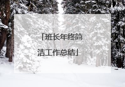 班长年终简洁工作总结