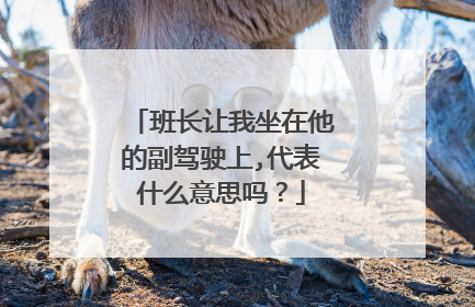 班长让我坐在他的副驾驶上,代表什么意思吗?