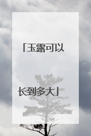 玉露可以长到多大