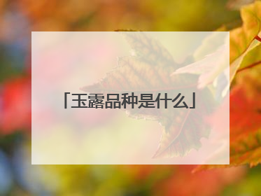玉露品种是什么