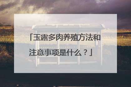 玉露多肉养殖方法和注意事项是什么?