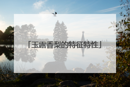 玉露香梨的特征特性