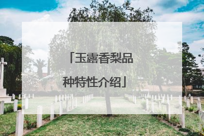 玉露香梨品种特性介绍