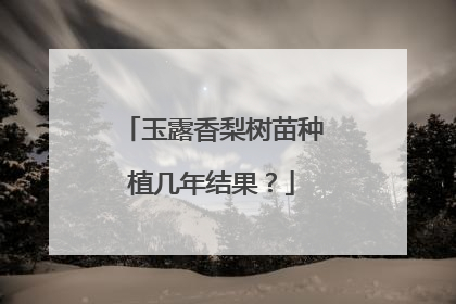 玉露香梨树苗种植几年结果?