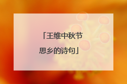 王维中秋节思乡的诗句