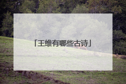 王维有哪些古诗