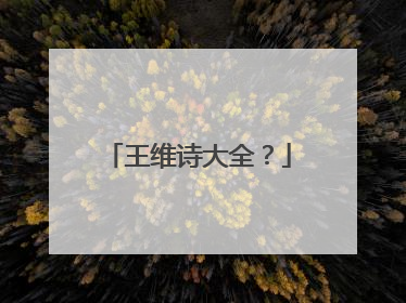 王维诗大全？
