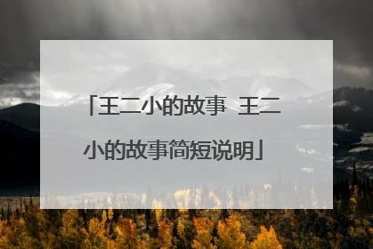王二小的故事 王二小的故事简短说明