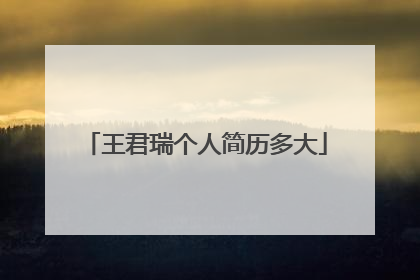 王君瑞个人简历多大