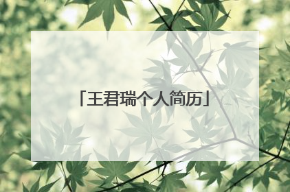 王君瑞个人简历