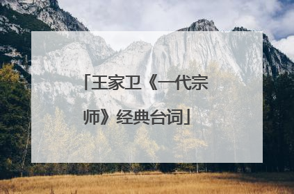 王家卫《一代宗师》经典台词