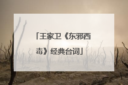 王家卫《东邪西毒》经典台词