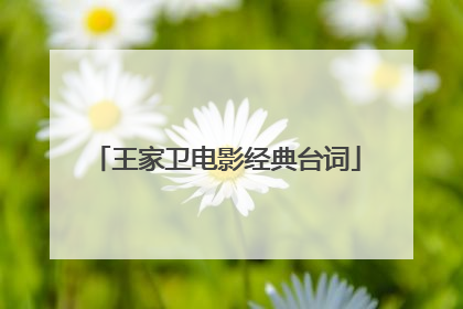 王家卫电影经典台词