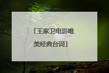 王家卫电影唯美经典台词