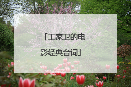 王家卫的电影经典台词