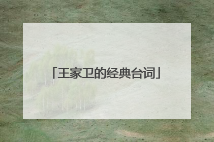 王家卫的经典台词
