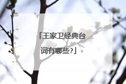 王家卫经典台词有哪些?