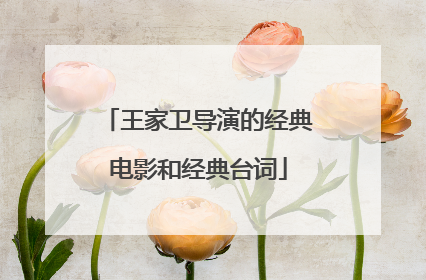 王家卫导演的经典电影和经典台词