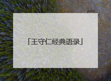 王守仁经典语录