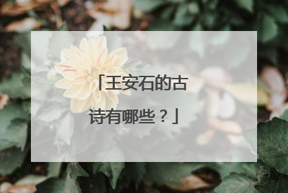 王安石的古诗有哪些?