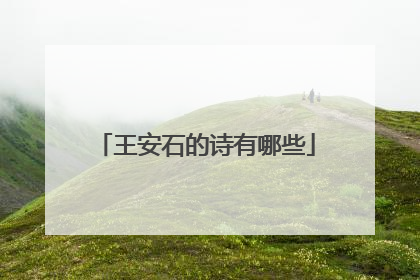 王安石的诗有哪些