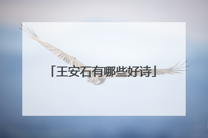 王安石有哪些好诗