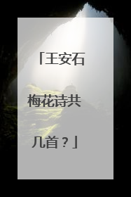 王安石梅花诗共几首?
