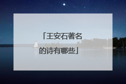 王安石著名的诗有哪些