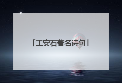 王安石著名诗句