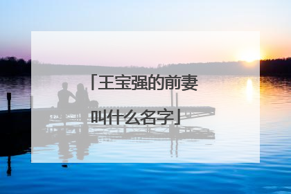 王宝强的前妻叫什么名字