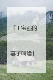 王宝强的妻子叫啥