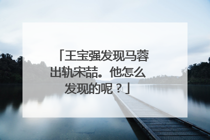 王宝强发现马蓉出轨宋喆。他怎么发现的呢?