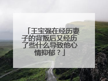 王宝强在经历妻子的背叛后又经历了些什么导致他心情抑郁?