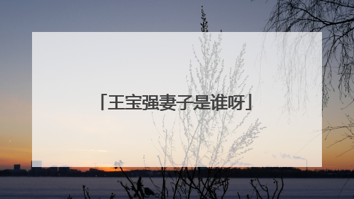 王宝强妻子是谁呀