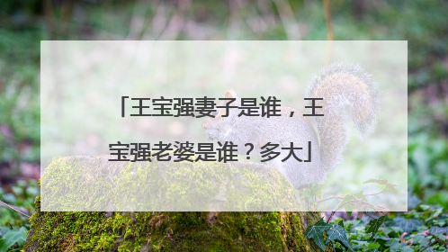 王宝强妻子是谁,王宝强老婆是谁?多大