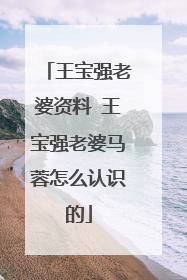 王宝强老婆资料 王宝强老婆马蓉怎么认识的