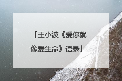 王小波《爱你就像爱生命》语录