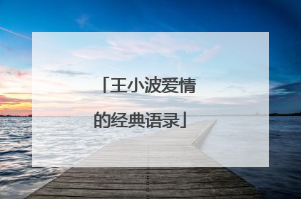 王小波爱情的经典语录
