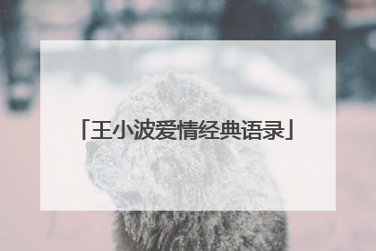 王小波爱情经典语录