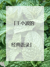 王小波的经典语录