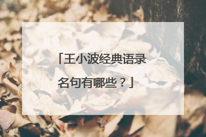 王小波经典语录名句有哪些？