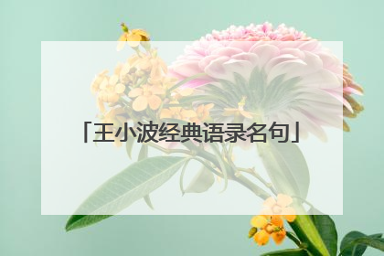 王小波经典语录名句